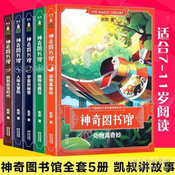 动漫明星竞速赛